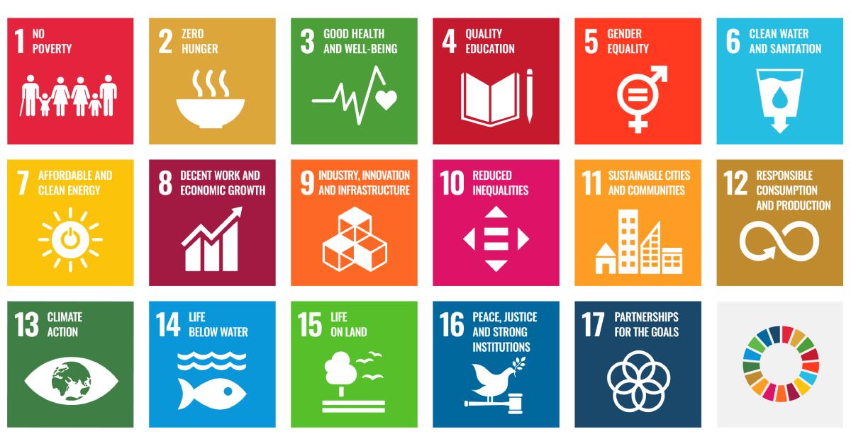 The 17 United Nations Sustainable Development Goals